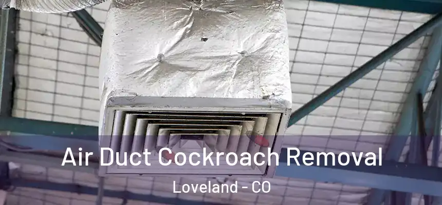  Air Duct Cockroach Removal Loveland - CO