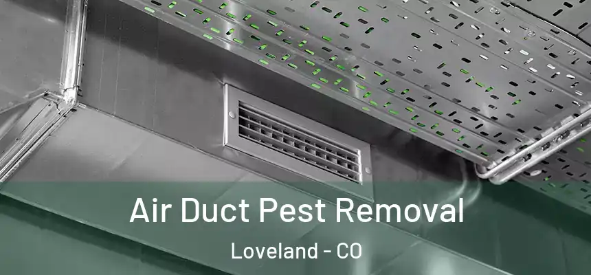  Air Duct Pest Removal Loveland - CO