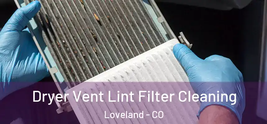 Dryer Vent Lint Filter Cleaning Loveland - CO