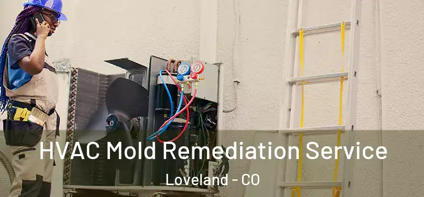  HVAC Mold Remediation Service Loveland - CO