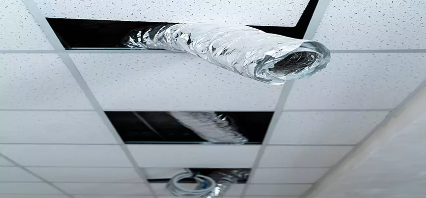 Our Air Duct Pet Hair Removal Services in Loveland, CO