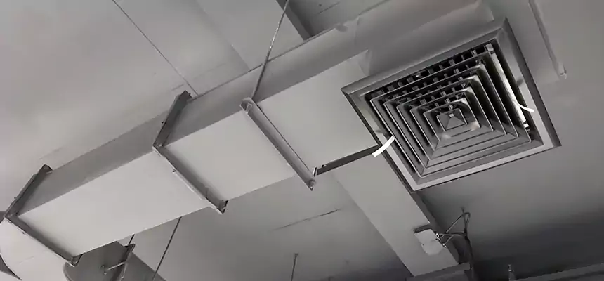 Restorative Allergy Relief Vent Cleaning – Coil, Blower & Housing Detail in Loveland