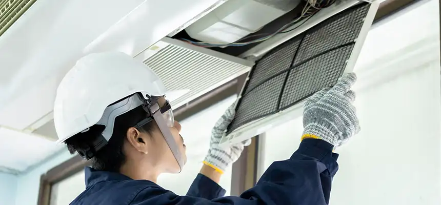 Our Lint Trap Cleaning Service Services in Loveland, CO