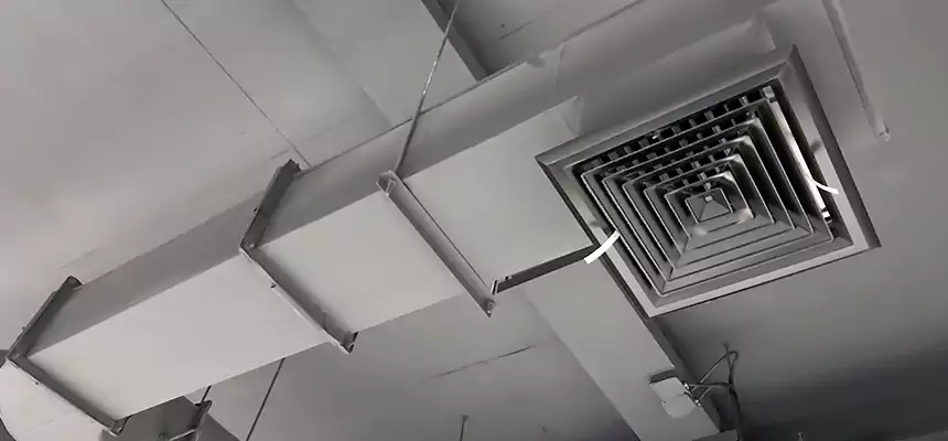 Our Pest Removal From Ducts Services in Loveland, CO