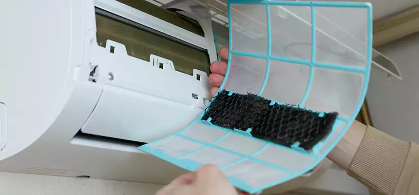 Gentle Ductwork Odor-Control Pet Dander Duct Cleaning in Loveland, CO