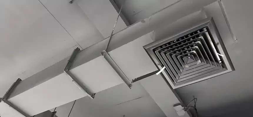 Our Rodent Droppings In Vents Services in Loveland, CO