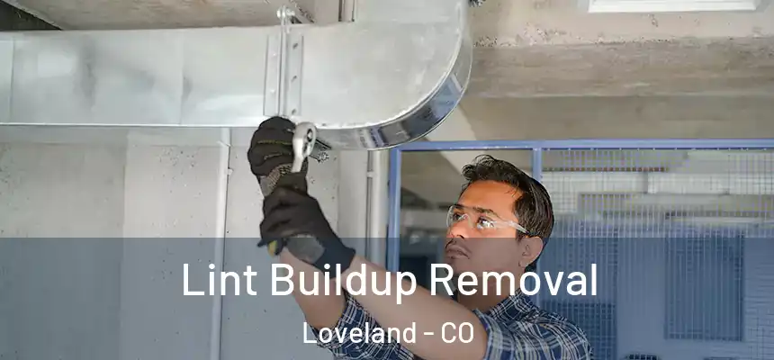 Lint Buildup Removal Loveland - CO