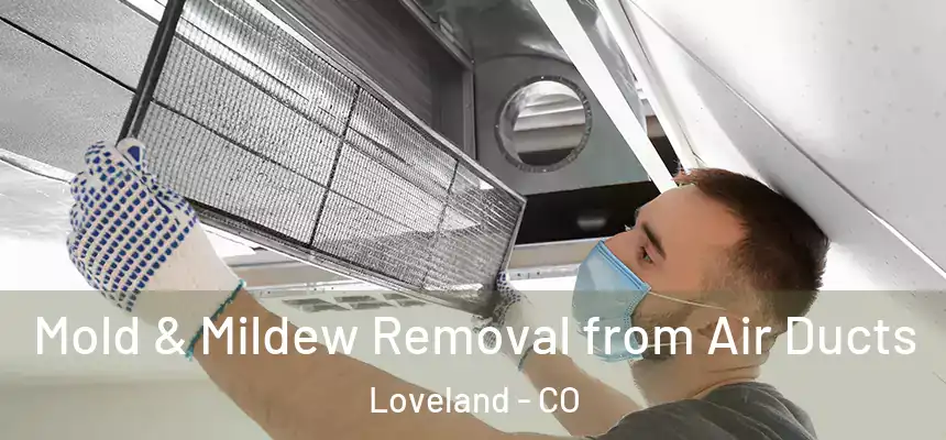 Mold & Mildew Removal from Air Ducts Loveland - CO