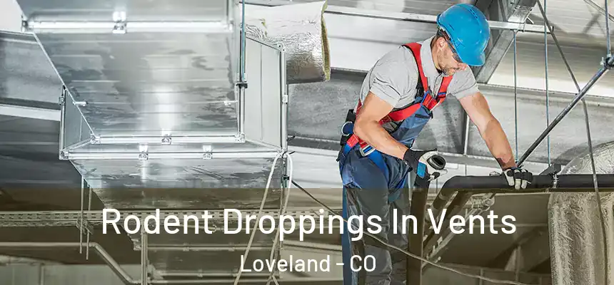  Rodent Droppings In Vents Loveland - CO