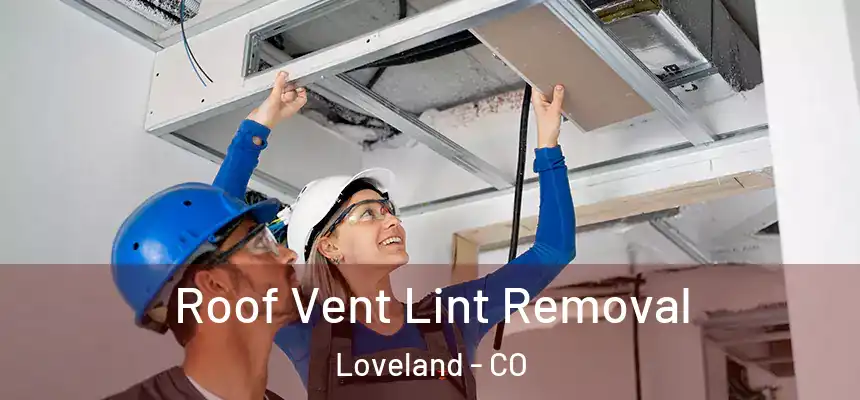 Roof Vent Lint Removal Loveland - CO