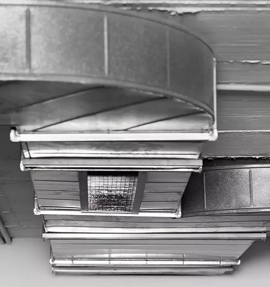 Professional Air Duct Pet Hair Removal in Loveland, CO