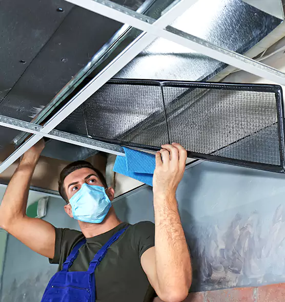 Professional Air Duct Pollen Cleaning in Loveland, CO