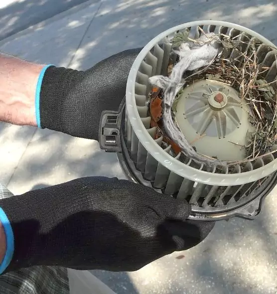 About Air Duct Rat Removal in Loveland, CO