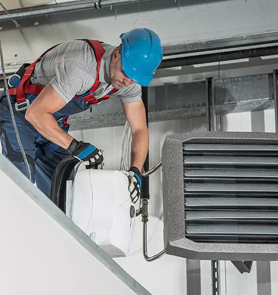 About HVAC Mold Remediation Service in Loveland, CO