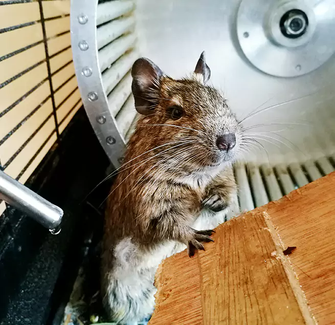 Why Homeowners & Businesses Trust Us Loveland, CO