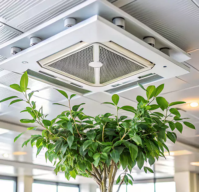 Why Homeowners & Businesses Trust Us in Loveland, CO?